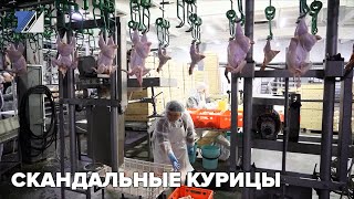 В соцсетях обсуждают нашумевший ролик