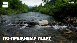 По-прежнему ищут