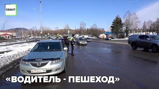 «Водитель—Пешеход»