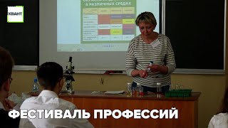 Фестиваль профессий