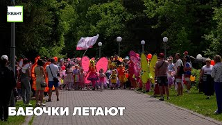 Бабочки летают