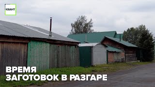 Время заготовок в разгаре