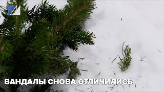 Вандалы снова отличились