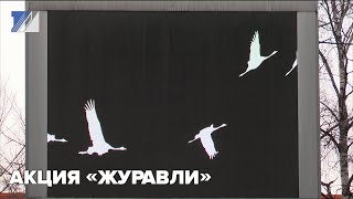 Акция «Журавли»