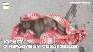 Юрист о нерадивом собаководе