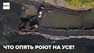 Что опять роют на Усе?