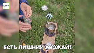 Есть лишний урожай?