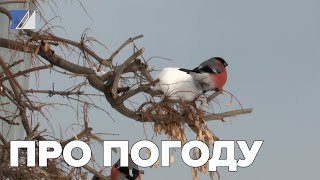 Про погоду