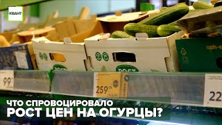 Что спровоцировало рост цен на огурцы?