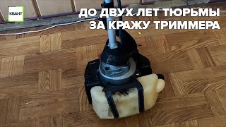 До двух лет тюрьмы за кражу триммера