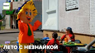 Лето с Незнайкой