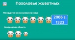 В Междуреченске 10 000 кур