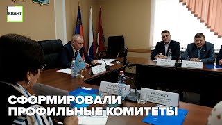 Сформировали профильные комитеты