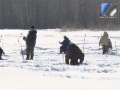 И рыбку поймать, и в воду не провалиться