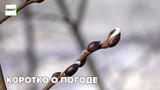 Коротко о погоде