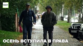 Осень вступила в права