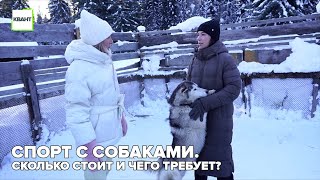 Спорт с собаками. Сколько стоит и чего требует?