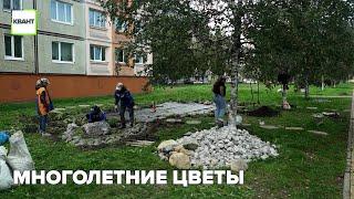 Многолетние цветы