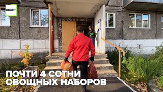 Почти 4 сотни овощных наборов