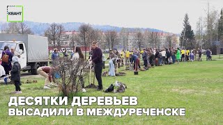 Десятки деревьев высадили в Междуреченске