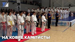 На ковре каратисты