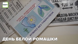 День белой ромашки