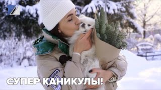 Как развлечься на новогодних каникулах